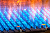 Berrington gas fired boilers
